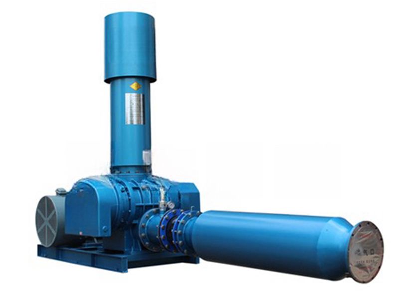 羅茨鼓風(fēng)機